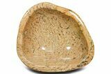 Large, Polished Graphic Granite (Feldspar) Bowl - Madagascar #362018-1